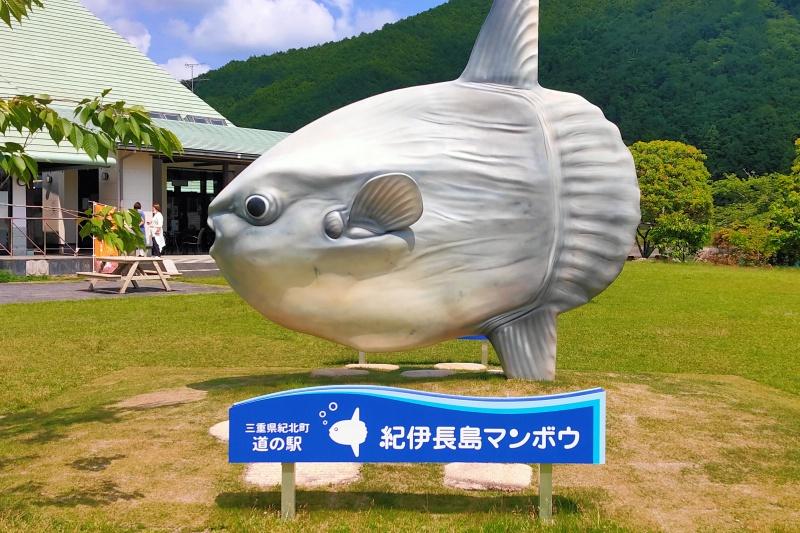 マンボウ