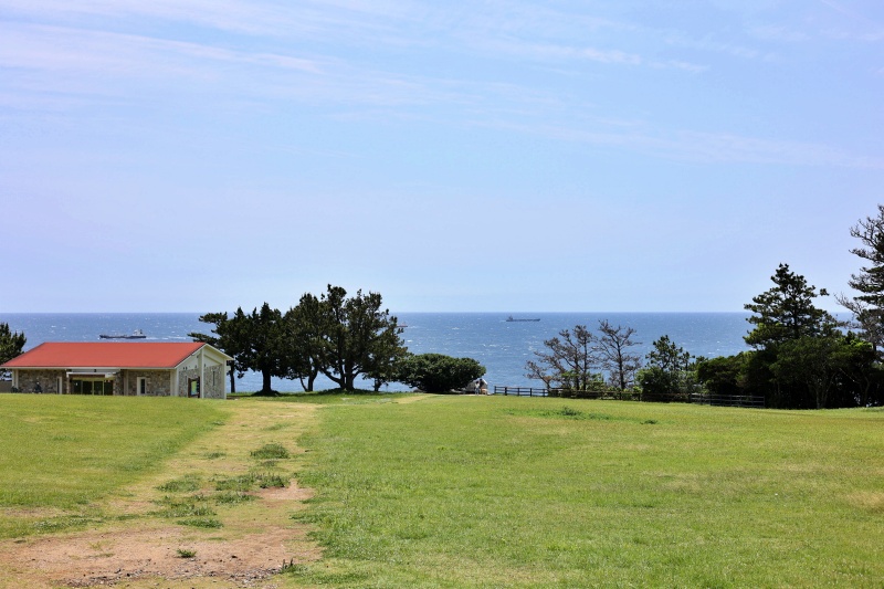 海を臨む草原