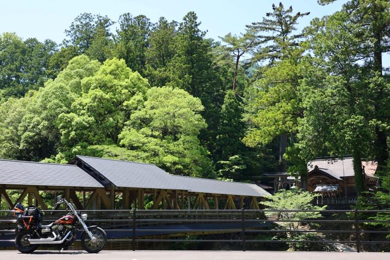 森に囲まれた神社